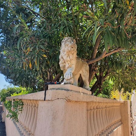 Villa Les Palmiers -Stretta Di I Mandarini Lucciana  Exteriör bild