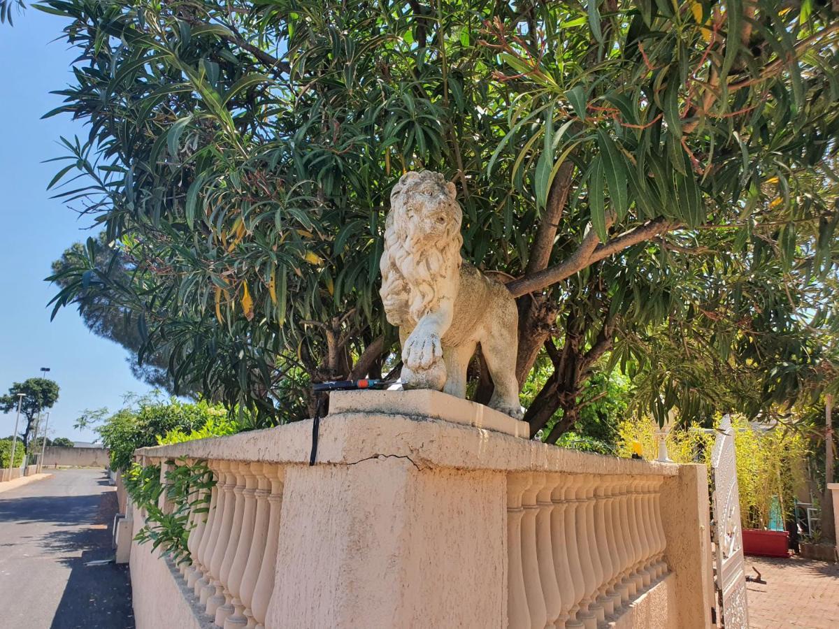 Villa Les Palmiers -Stretta Di I Mandarini Lucciana  Exteriör bild