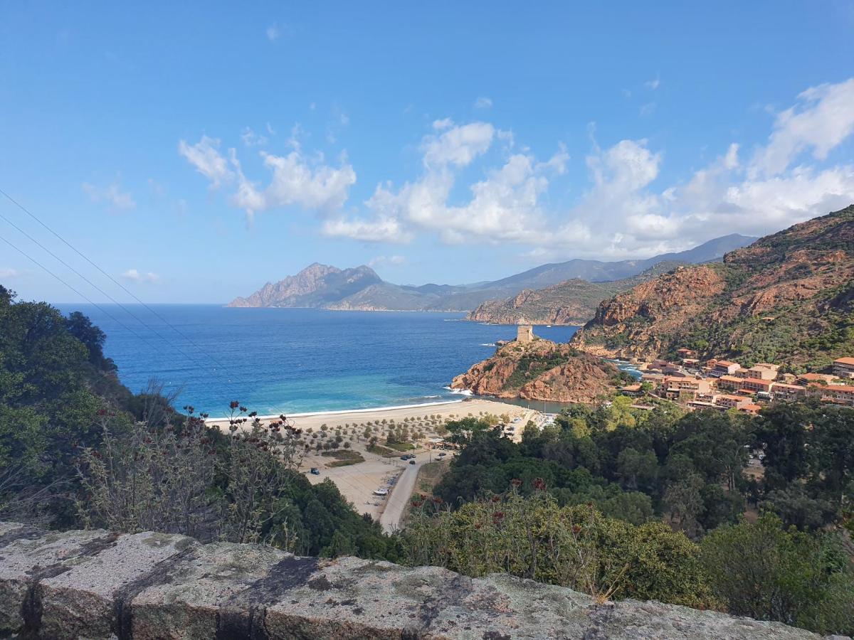 Villa Les Palmiers -Stretta Di I Mandarini Lucciana  Exteriör bild